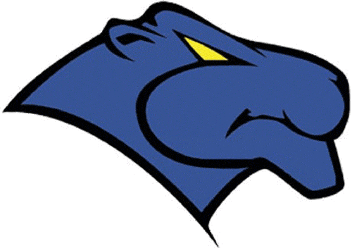 Georgia State Panthers 1997-2001 Primary Logo diy fabric transfer